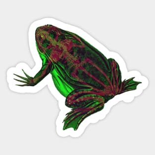 Skeleton Frog Interactive Magenta&Green Filter #2 By Red&Blue Sticker